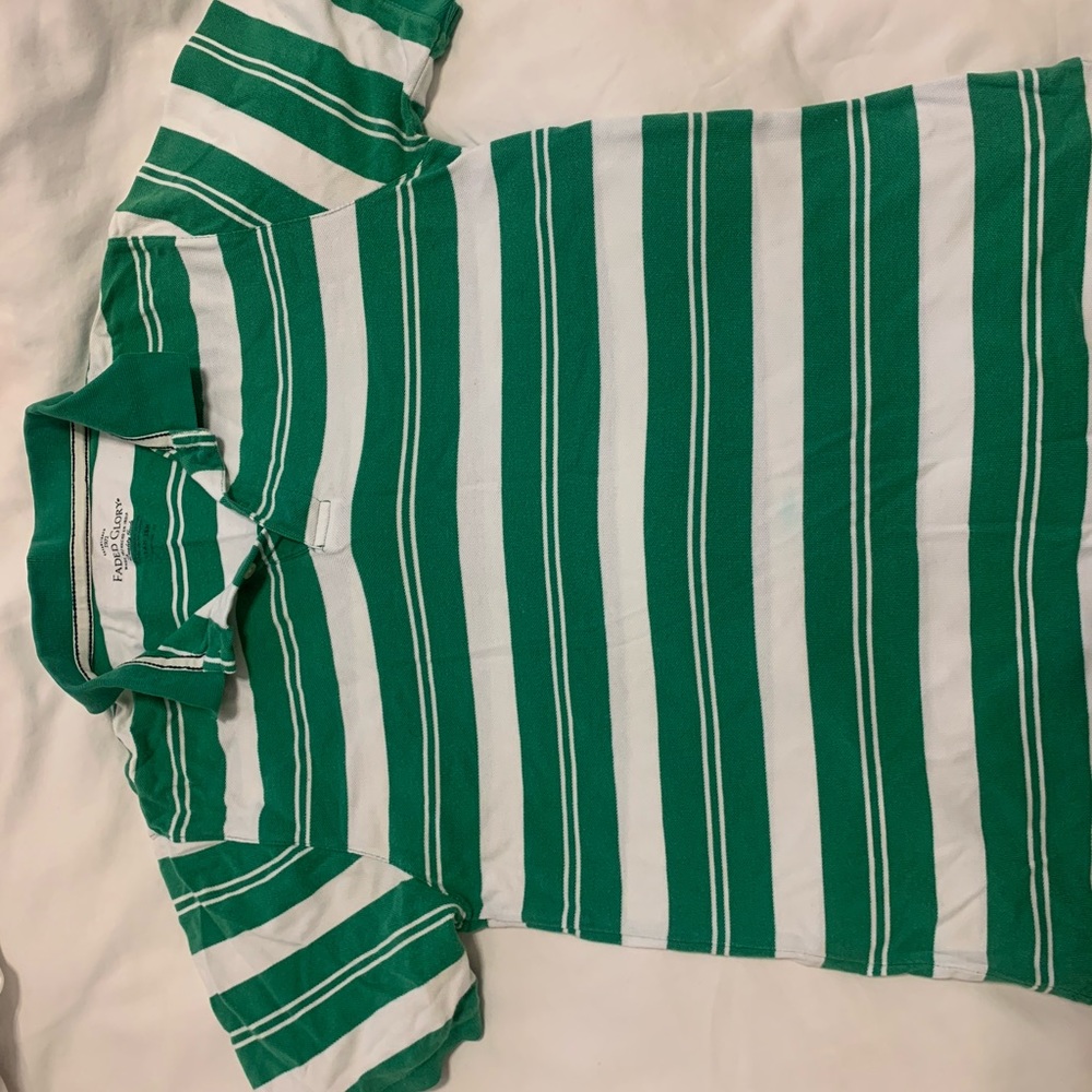 Collard Short Sleeve Polo Shirt